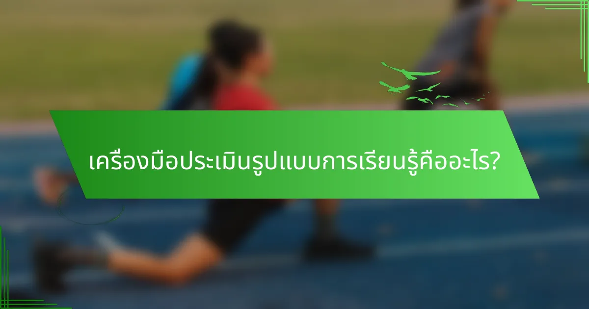 เครื่องมือประเมินรูปแบบการเรียนรู้คืออะไร?