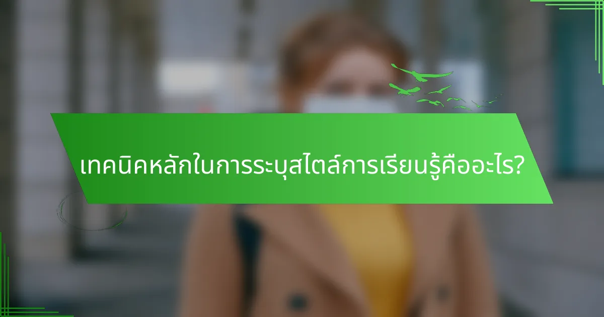 เทคนิคหลักในการระบุสไตล์การเรียนรู้คืออะไร?