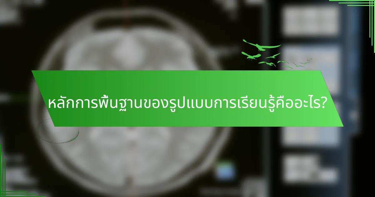 หลักการพื้นฐานของรูปแบบการเรียนรู้คืออะไร?