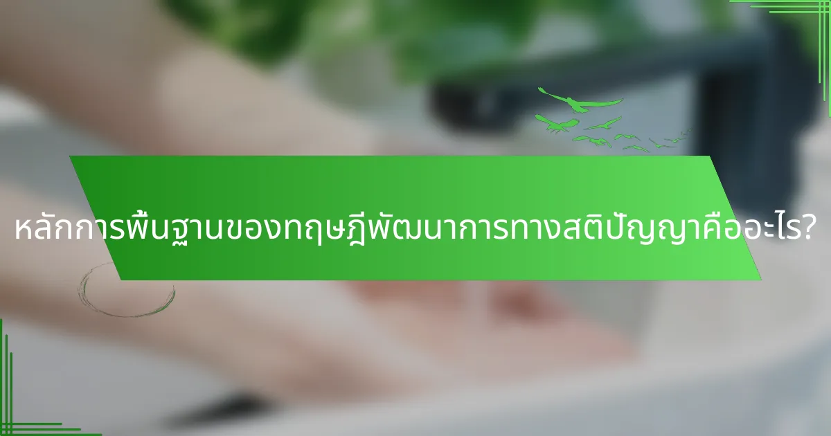 หลักการพื้นฐานของทฤษฎีพัฒนาการทางสติปัญญาคืออะไร?