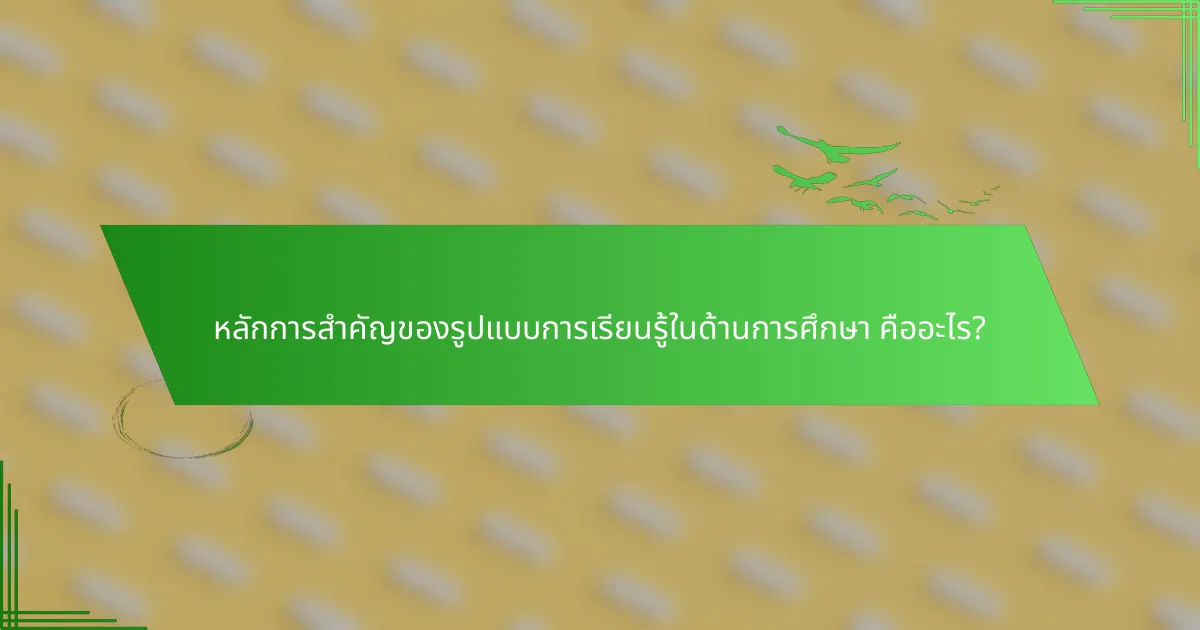 หลักการสำคัญของรูปแบบการเรียนรู้ในด้านการศึกษา คืออะไร?