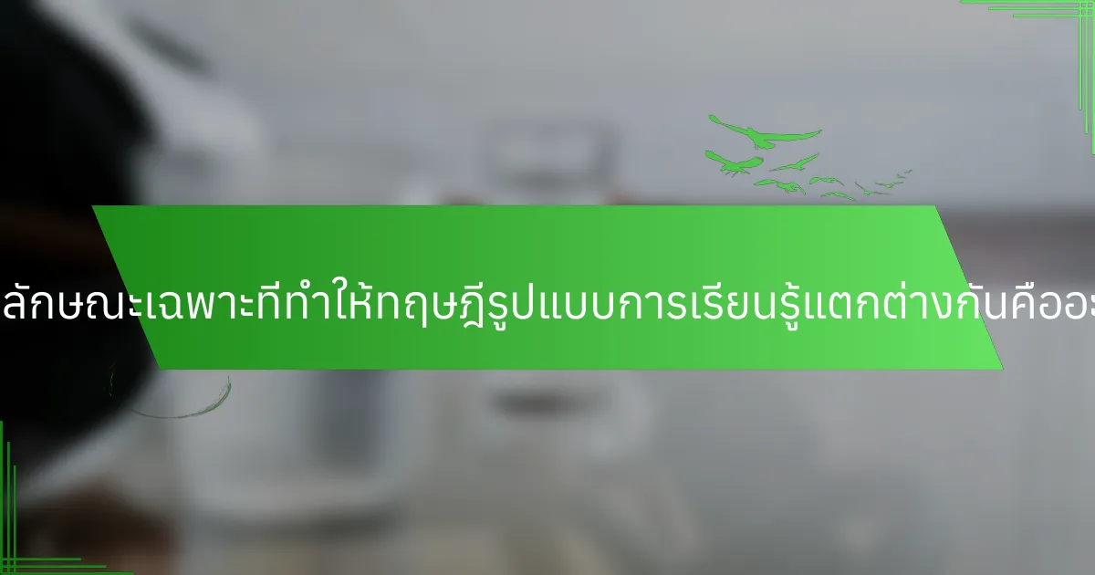 คุณลักษณะเฉพาะที่ทำให้ทฤษฎีรูปแบบการเรียนรู้แตกต่างกันคืออะไร?