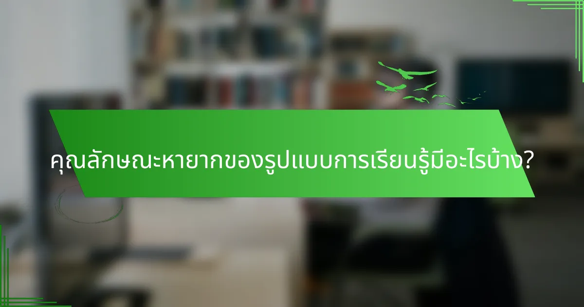 คุณลักษณะหายากของรูปแบบการเรียนรู้มีอะไรบ้าง?
