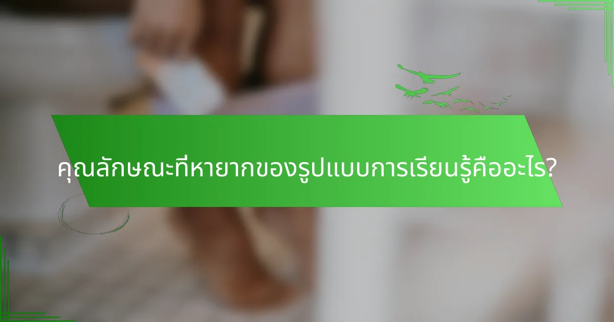 คุณลักษณะที่หายากของรูปแบบการเรียนรู้คืออะไร?