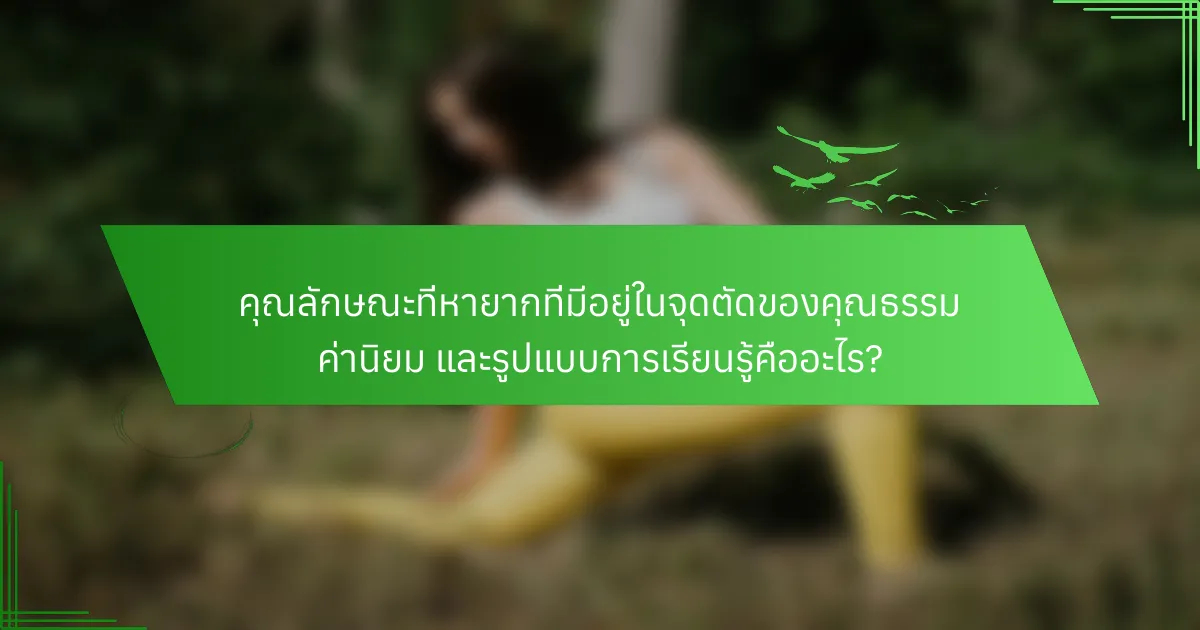 คุณลักษณะที่หายากที่มีอยู่ในจุดตัดของคุณธรรม ค่านิยม และรูปแบบการเรียนรู้คืออะไร?