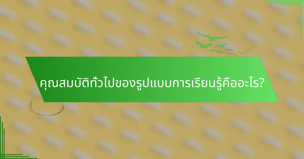 คุณสมบัติทั่วไปของรูปแบบการเรียนรู้คืออะไร?