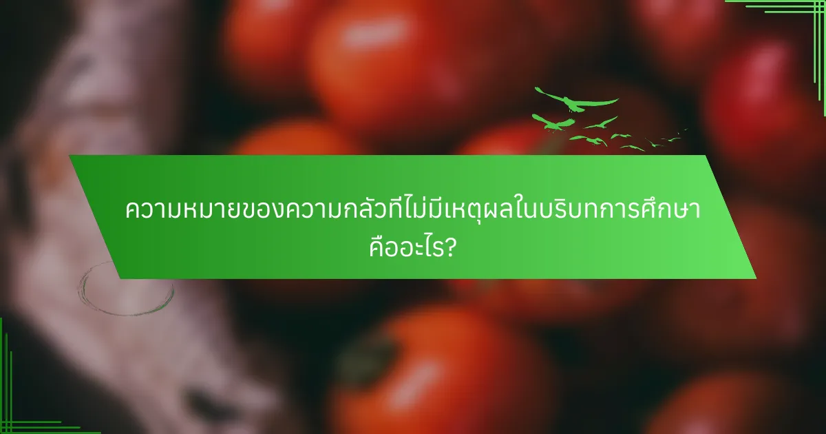 ความหมายของความกลัวที่ไม่มีเหตุผลในบริบทการศึกษา คืออะไร?