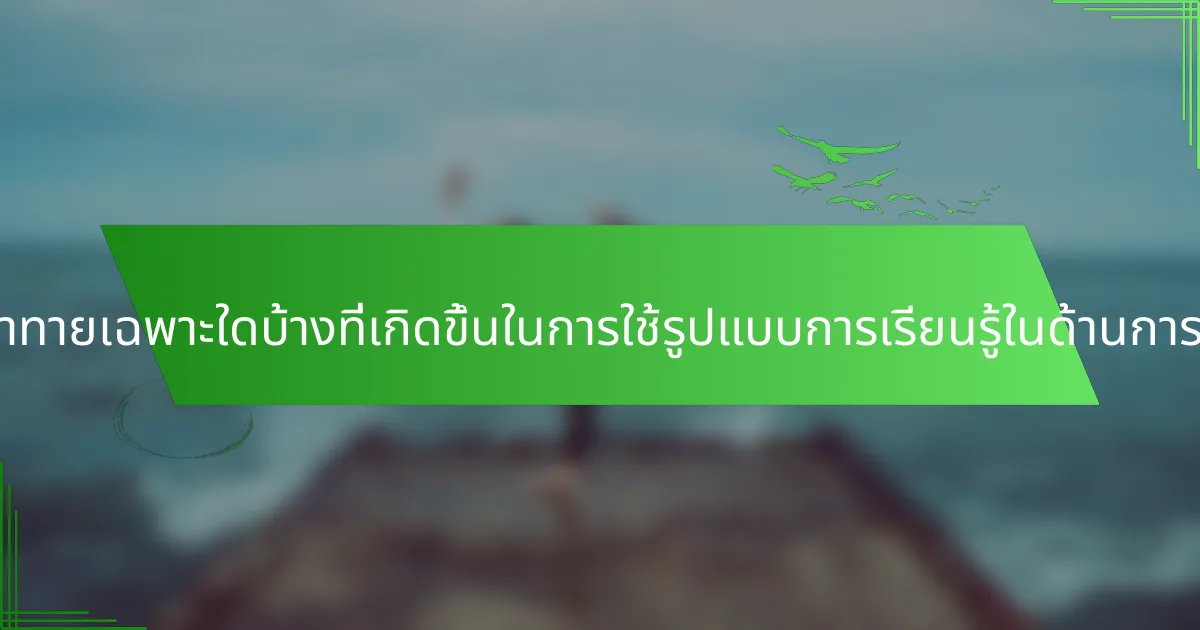 ความท้าทายเฉพาะใดบ้างที่เกิดขึ้นในการใช้รูปแบบการเรียนรู้ในด้านการศึกษา?