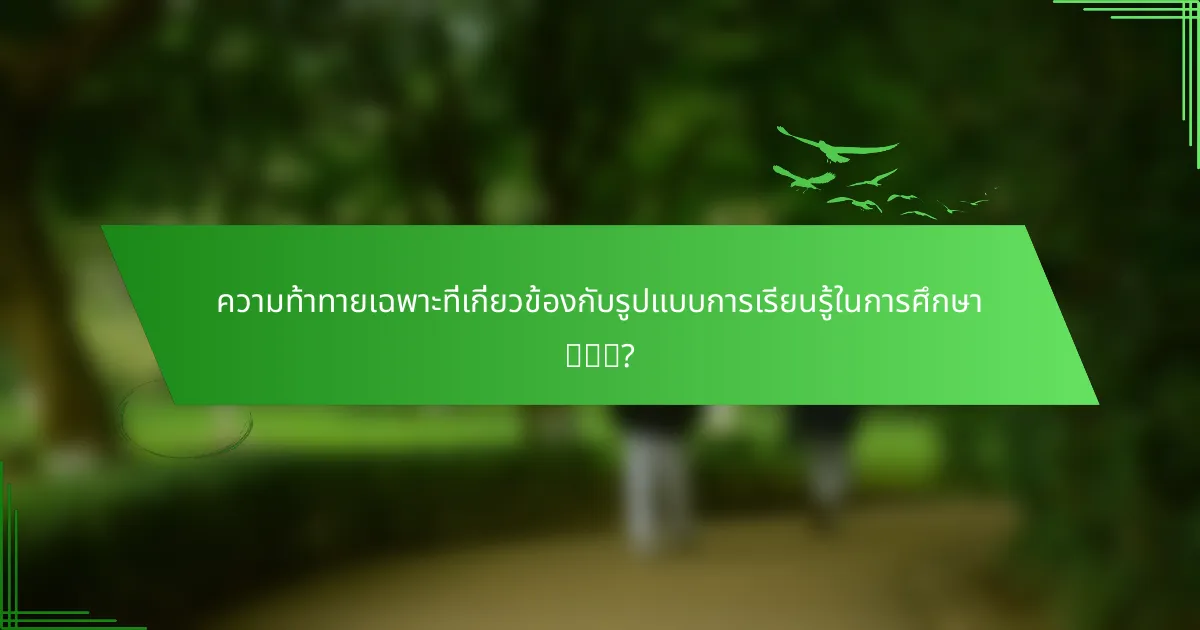 ความท้าทายเฉพาะที่เกี่ยวข้องกับรูปแบบการเรียนรู้ในการศึกษา有哪些?