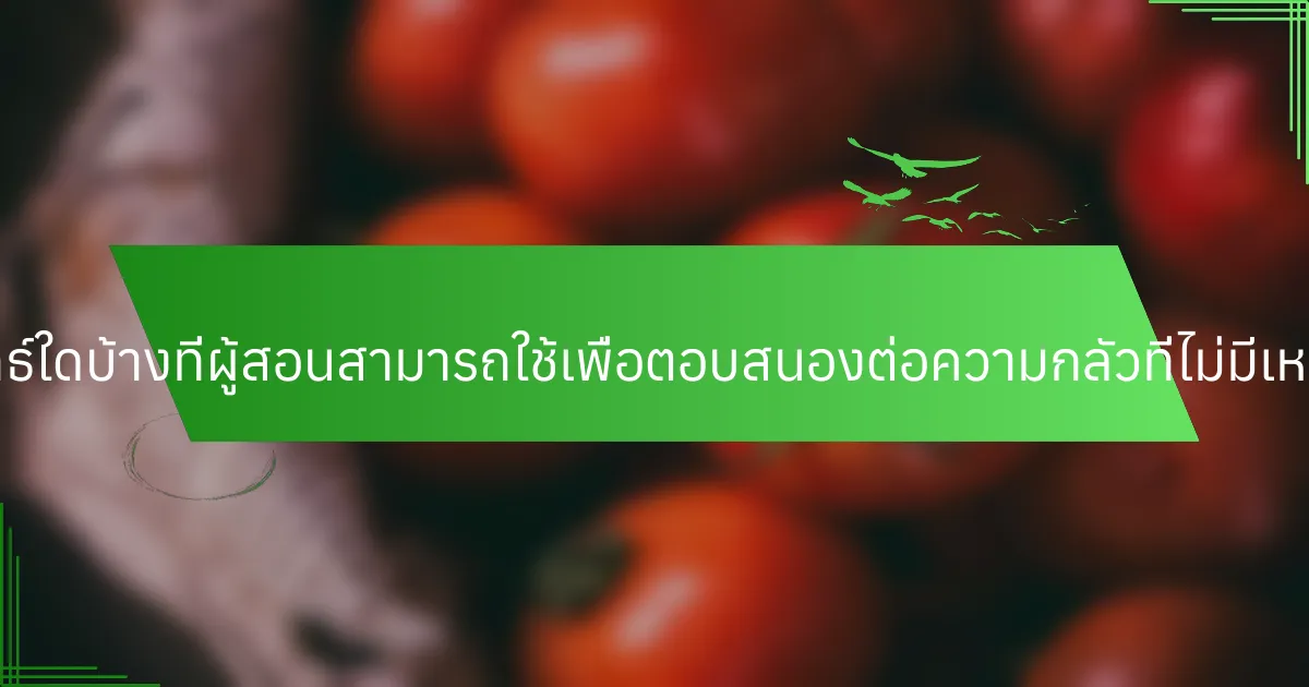 กลยุทธ์ใดบ้างที่ผู้สอนสามารถใช้เพื่อตอบสนองต่อความกลัวที่ไม่มีเหตุผล?