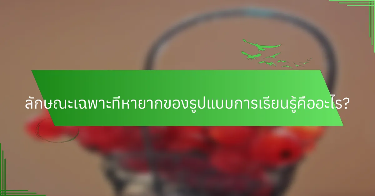 ลักษณะเฉพาะที่หายากของรูปแบบการเรียนรู้คืออะไร?