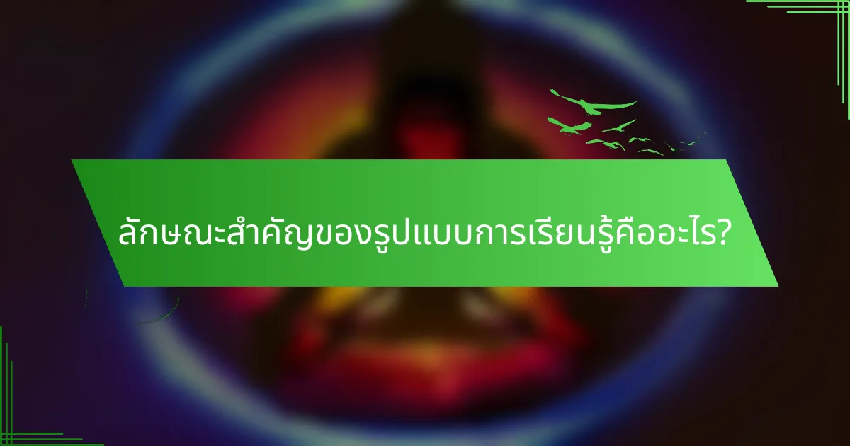 ลักษณะสำคัญของรูปแบบการเรียนรู้คืออะไร?