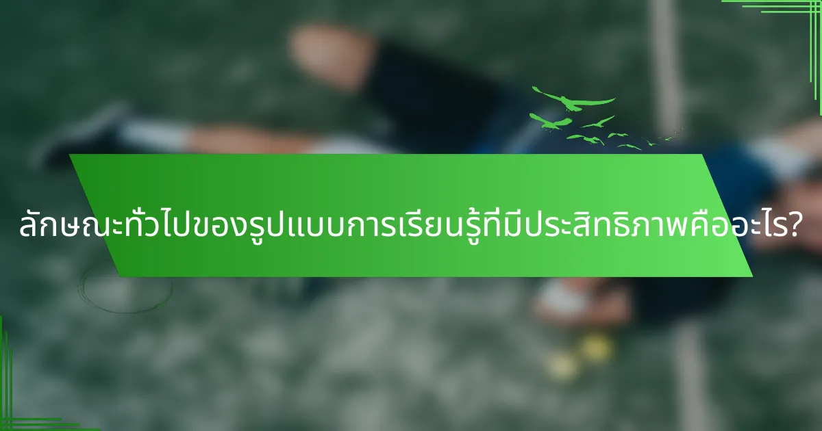 ลักษณะทั่วไปของรูปแบบการเรียนรู้ที่มีประสิทธิภาพคืออะไร?