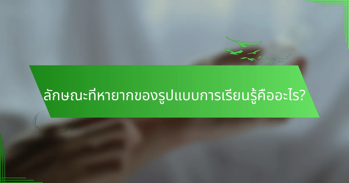 ลักษณะที่หายากของรูปแบบการเรียนรู้คืออะไร?