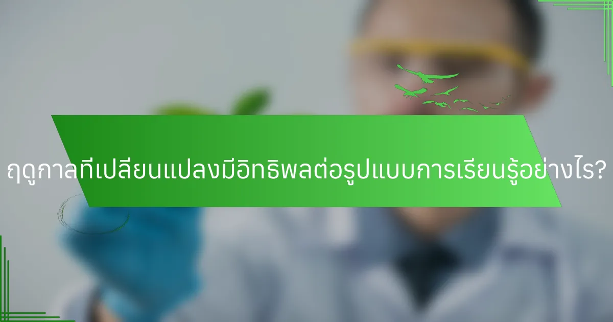 ฤดูกาลที่เปลี่ยนแปลงมีอิทธิพลต่อรูปแบบการเรียนรู้อย่างไร?
