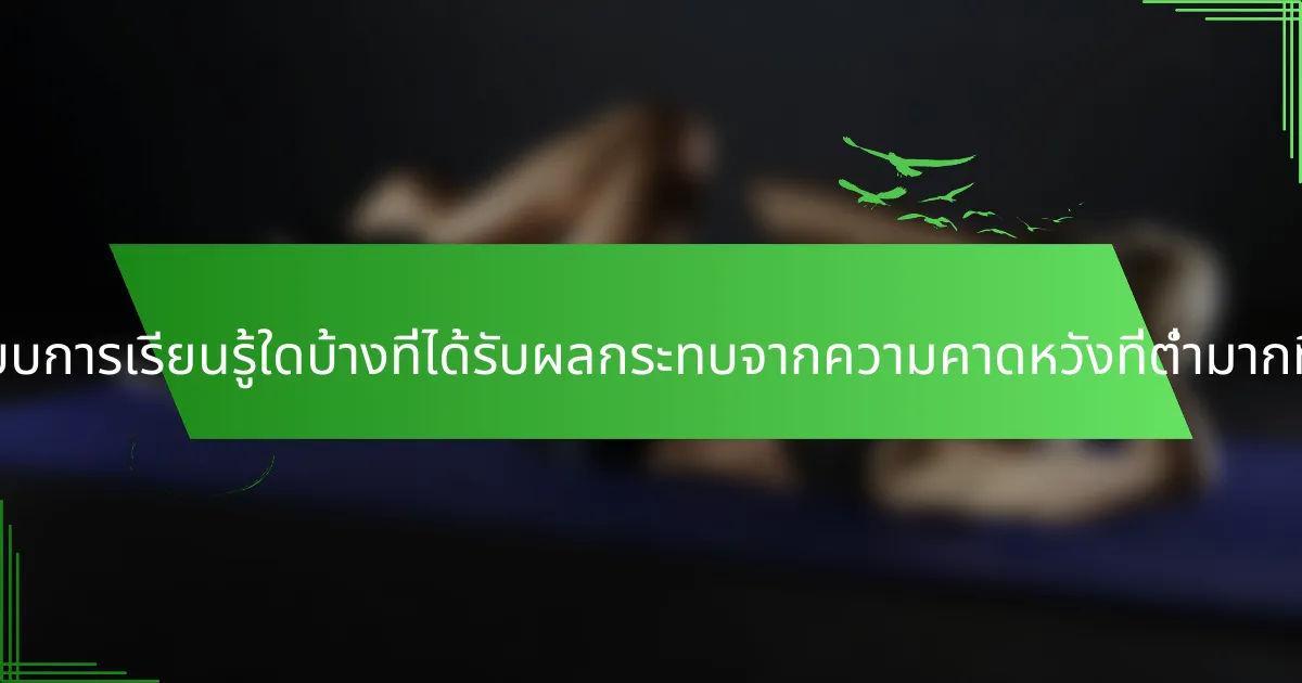 รูปแบบการเรียนรู้ใดบ้างที่ได้รับผลกระทบจากความคาดหวังที่ต่ำมากที่สุด?