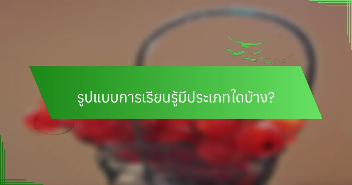 รูปแบบการเรียนรู้มีประเภทใดบ้าง?