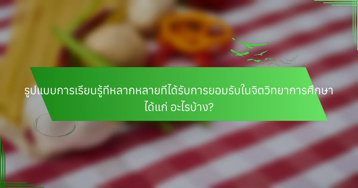 รูปแบบการเรียนรู้ที่หลากหลายที่ได้รับการยอมรับในจิตวิทยาการศึกษา ได้แก่ อะไรบ้าง?
