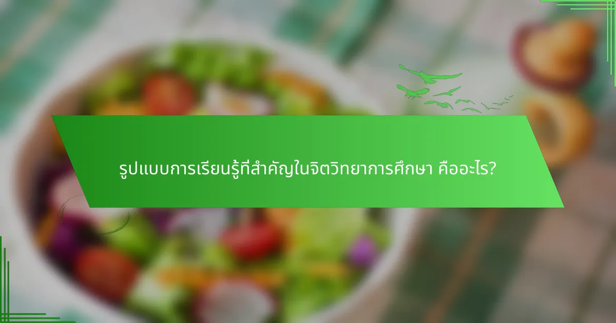 รูปแบบการเรียนรู้ที่สำคัญในจิตวิทยาการศึกษา คืออะไร?